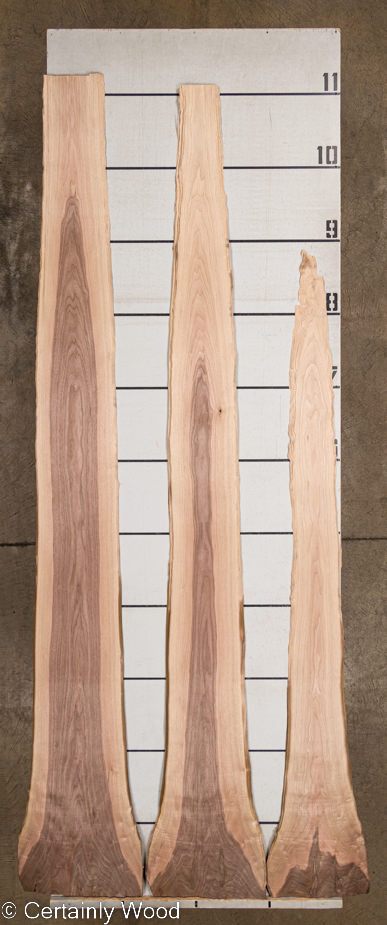 WS WALNUT_22488-4_2 WS WALNUT_22488-4_2