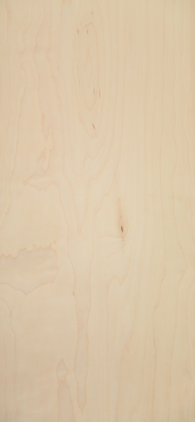 SKATE_12X48_2 SKATE_12X48_2