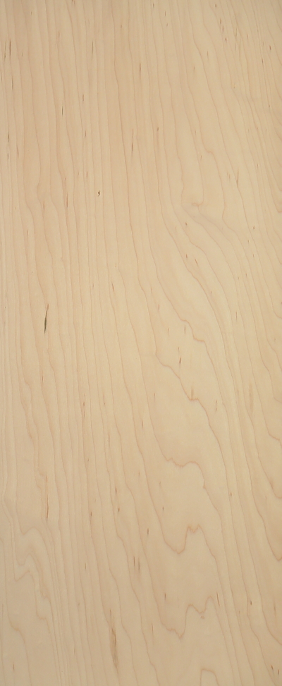 SKATE_95X35_2 SKATE_95X35_2