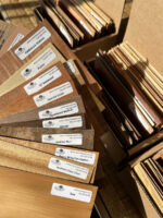 vsp-11-15-24-001-1200