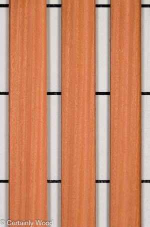 1/10 SAPELE 25265-4B