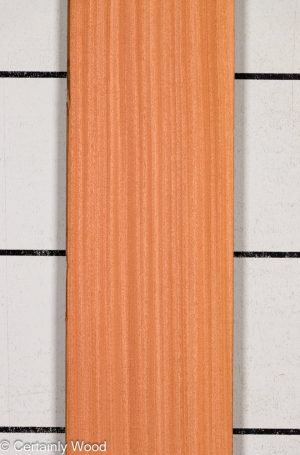 1/10 SAPELE 25265-5A