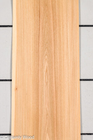 1/16 R ELM 24236-02A