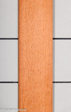 1/16 SP CEDAR 23515-1