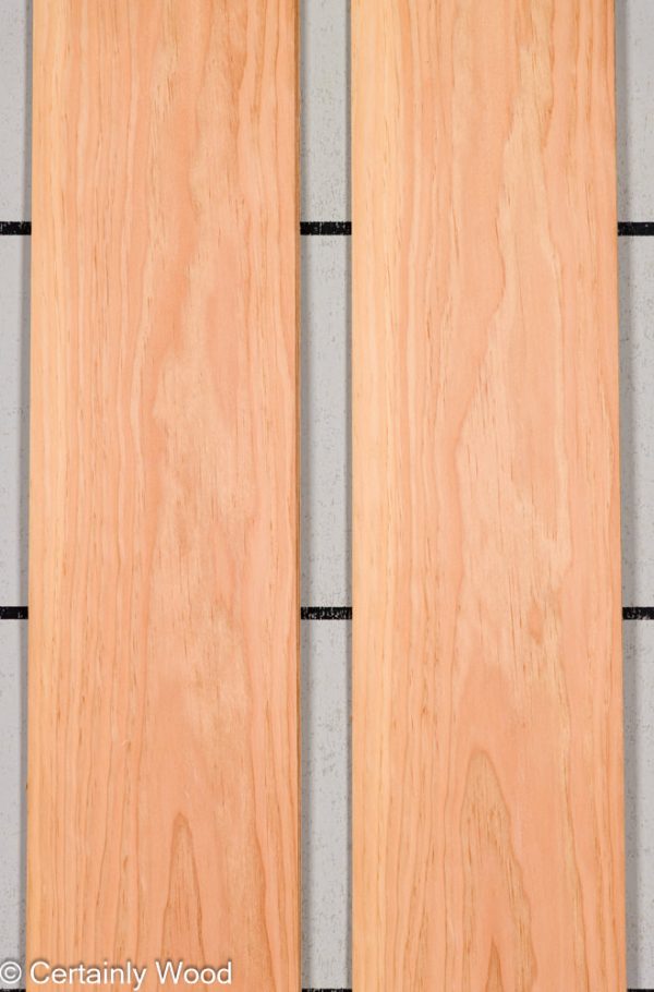 18_DOUG_FIR_25272-1B_1