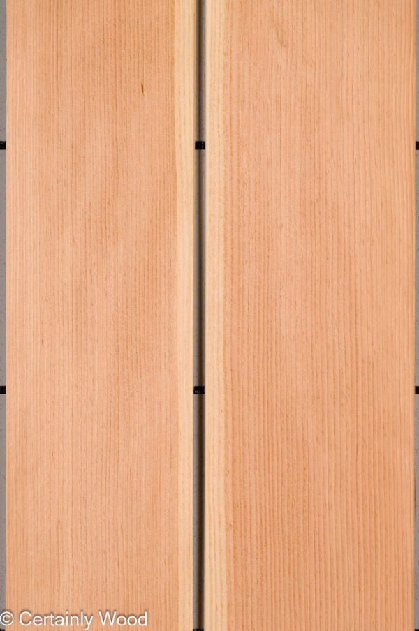 18_DOUG_FIR_25272-3_1