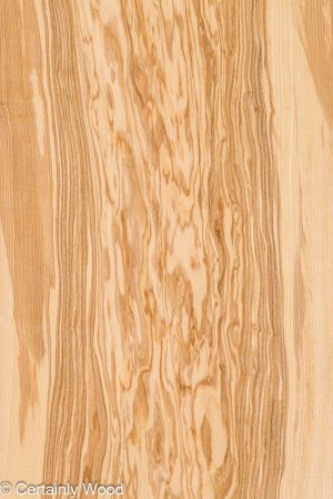 1/18 O ASH 25271-01A