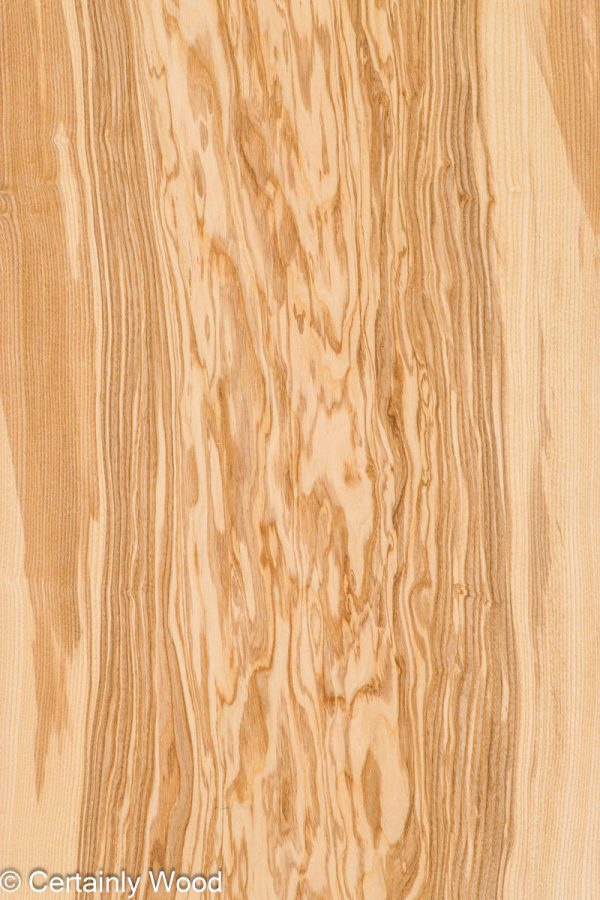 18_O_ASH_25271-01A_1