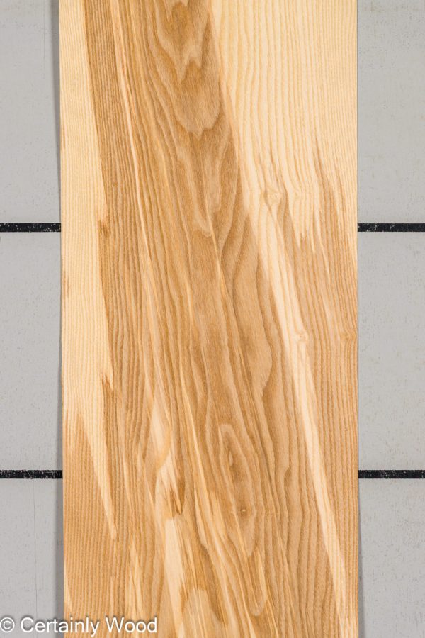 18_O_ASH_25271-01B_1