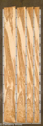 18_O_ASH_25271-01B_2