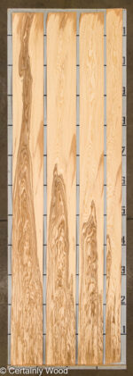 18_O_ASH_25271-02B_2