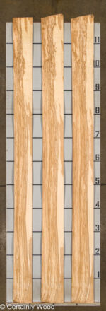 18_O_ASH_25271-04B_2