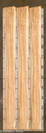 18_O_ASH_25271-06A_2