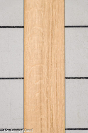 1/18 QT OAK 22371-01A