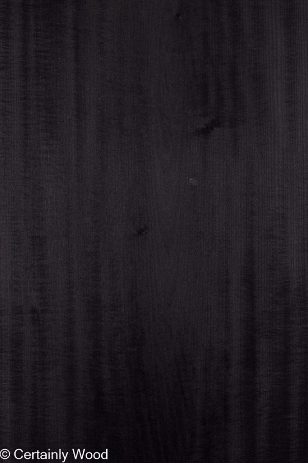 28_BLK_POP_25267-1_1