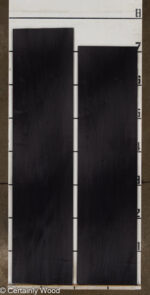 28_BLK_POP_25267-2_2