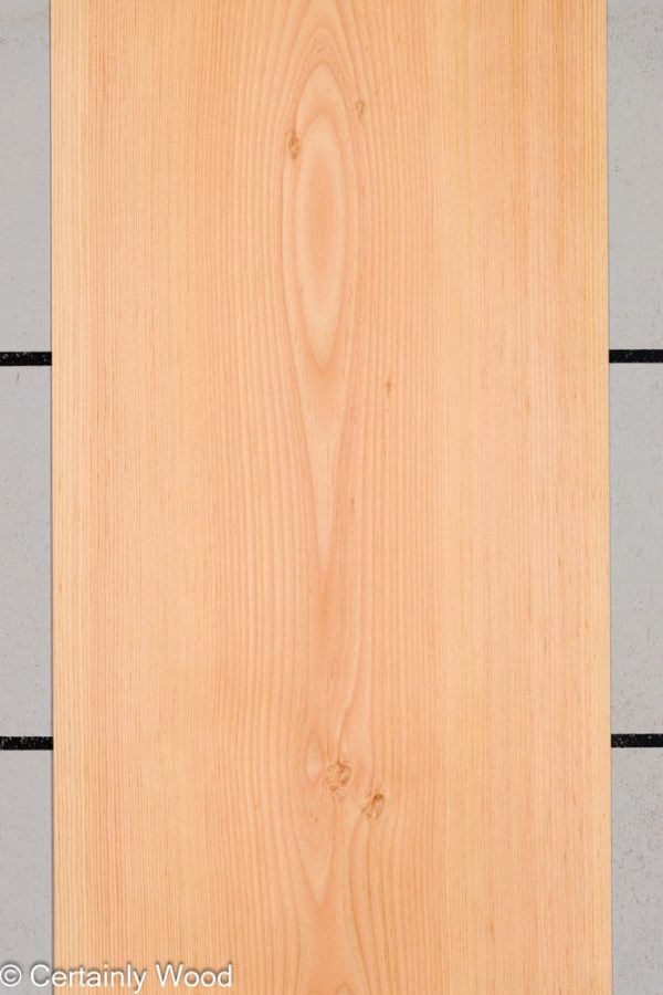 28_DOUG_FIR_25273-1_1