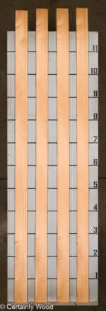 28_DOUG_FIR_25273-3_2