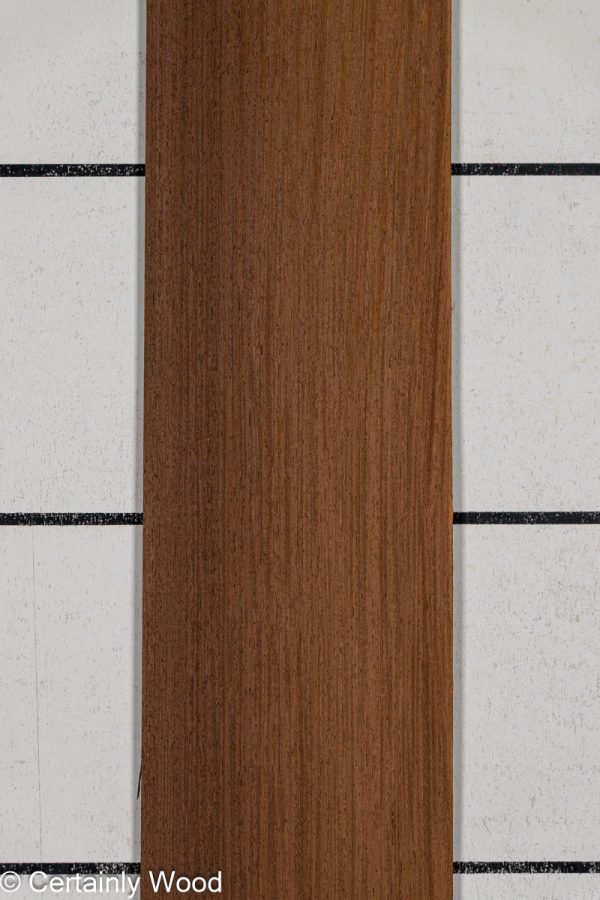 2MM_WENGE_25223-2_1.jpg