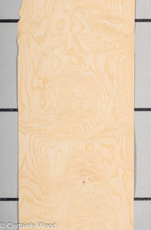 ASH BURL 22352-03