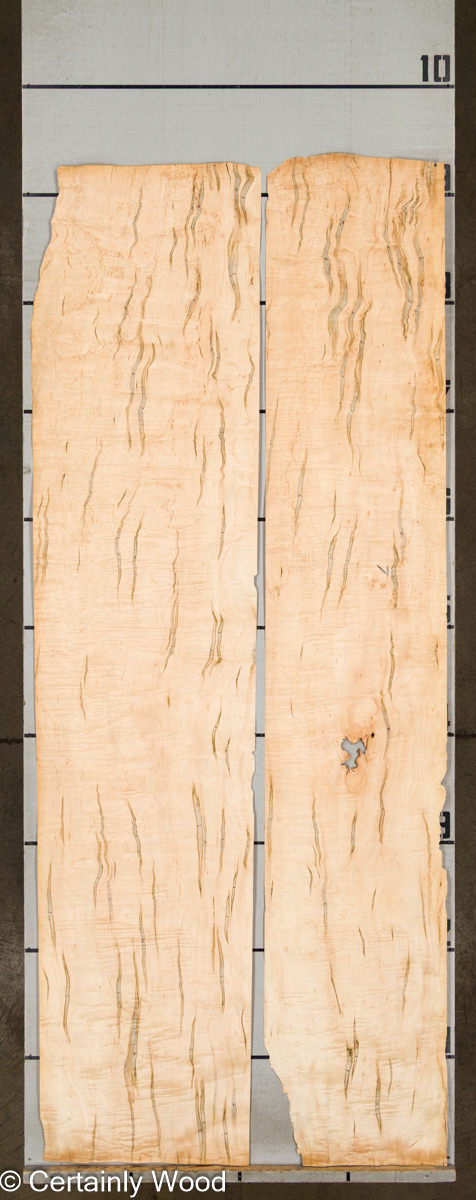 A_MAPLE_22316-4_2.jpg A_MAPLE_22316-4_2.jpg