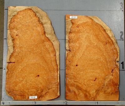 Amboyna_1002-1_2.jpg Amboyna_1002-1_2.jpg