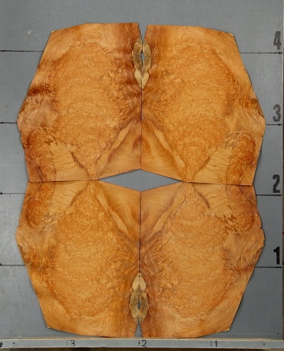 Amboyna_1002-1_5.jpg Amboyna_1002-1_5.jpg