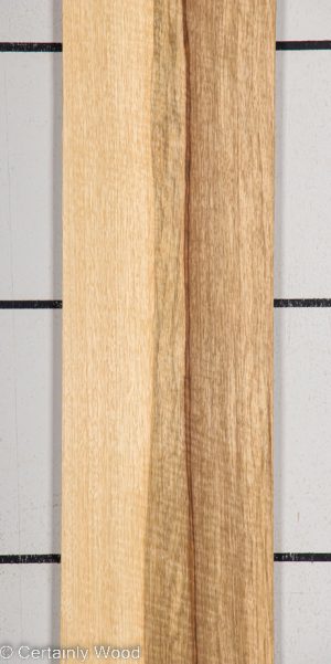 BLK LIMBA 22407-1G