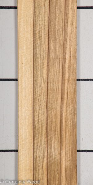 BLK LIMBA 22407-2A