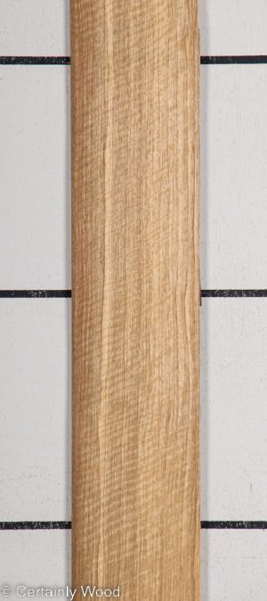 BLK LIMBA 22407-4C