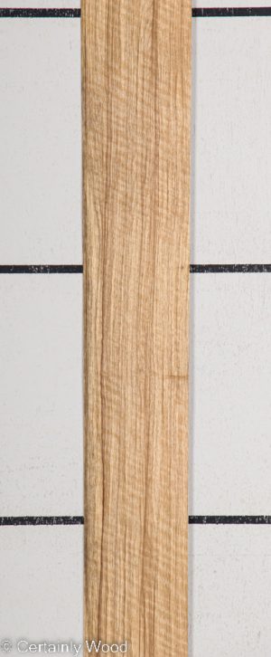 BLK LIMBA 22407-5F