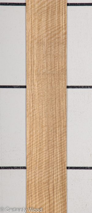BLK LIMBA 22407-5G