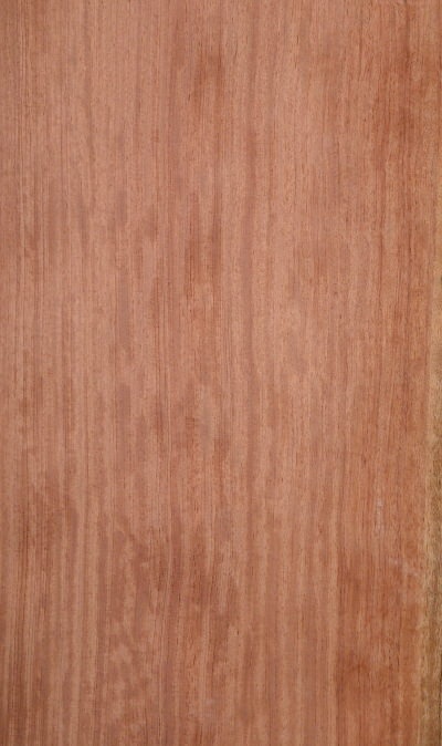 BUBINGA_1502_1.jpg