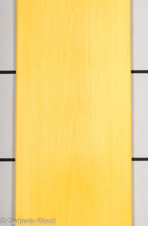 DYED YELLOW 22475