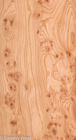 ELM BURL 22306-15C