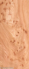 ELM_BURL_22306-21_1.jpg
