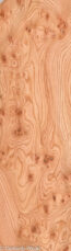 ELM_BURL_22306-27_1.jpg