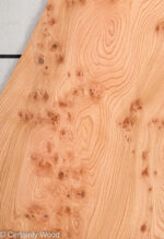 ELM_BURL_22306-29_1.jpg