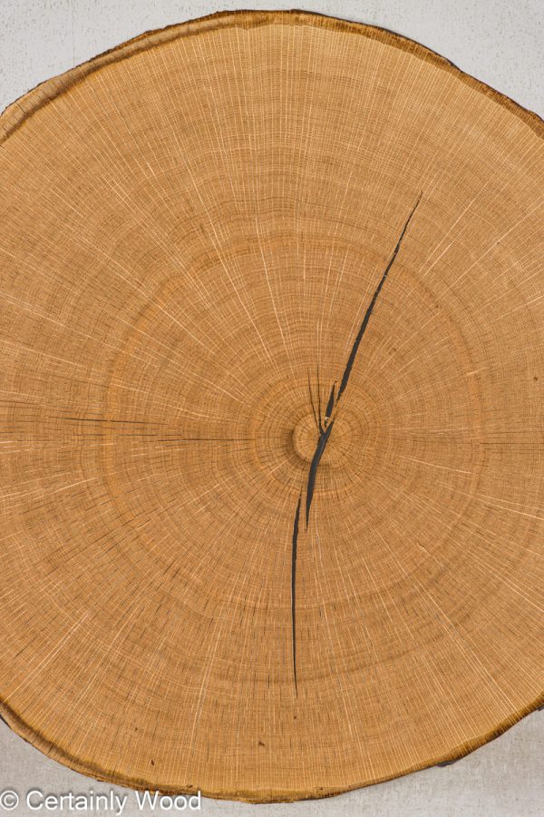 ENDGRAIN_OAK_24445_1.jpg