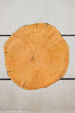 ENDGRAIN_PINE_24449_1.jpg