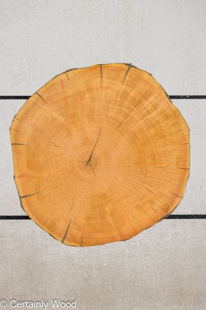 ENDGRAIN PINE 24449