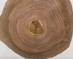 ENDGRAIN WALNUT 21175