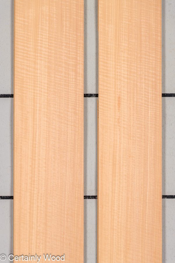 FB_ANIGRE_25310-1B_1