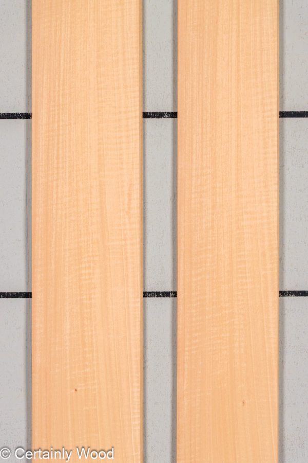 FB_ANIGRE_25310-2B_1