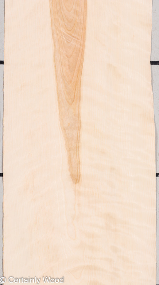 F_BIRCH_22020-2_1.jpg F_BIRCH_22020-2_1.jpg