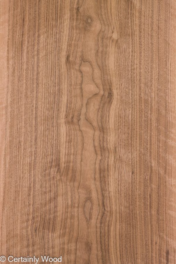 F_WALNUT_25225-2_1