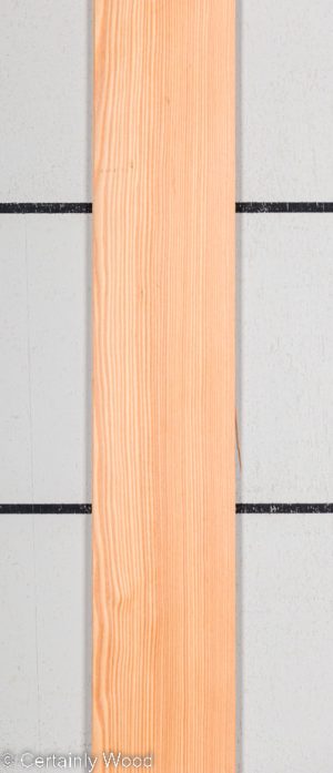 LARCH 22328-5