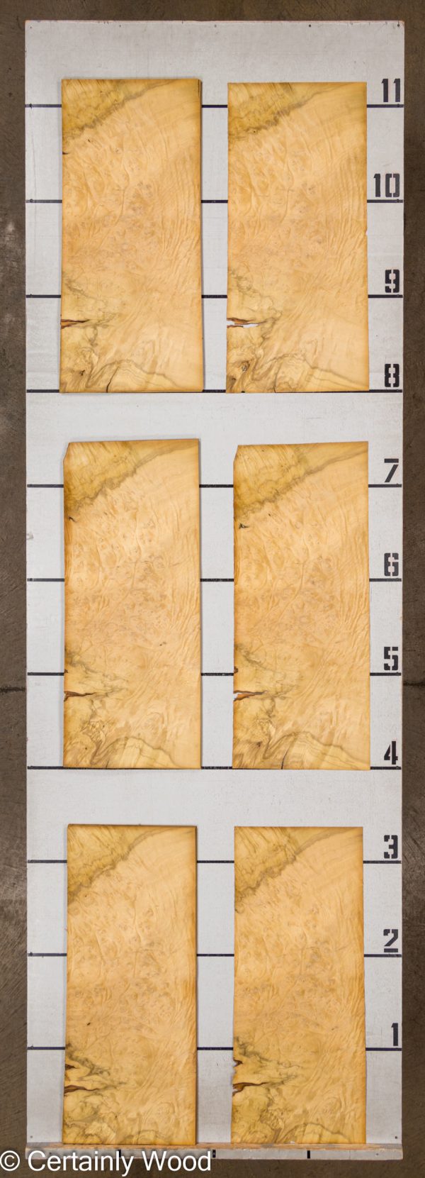 LAUREL_BRL_23392-2A_2.jpg LAUREL_BRL_23392-2A_2.jpg