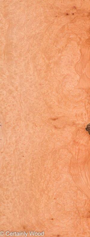 MADRONE BRL 22291-2A