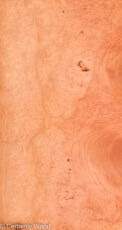 MADRONE_BRL_22291-2C_1.jpg